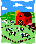 sheep in barnyard