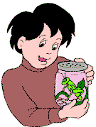boy with grasshopper in jar