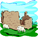 sheep by building
