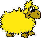 sheep