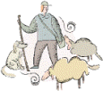 shepherd, dog, sheep