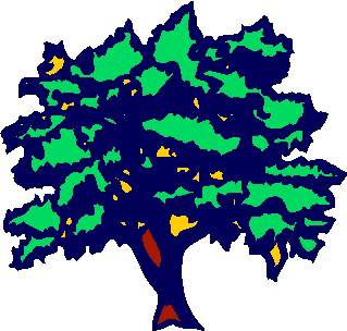 shade tree