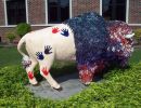 buffalo 1