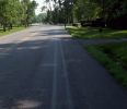 sharing the path