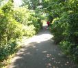 rustic path