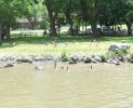 along canal