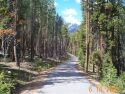 Bike path