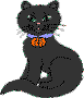 Midnight Louie, a black cat