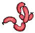 sausage links